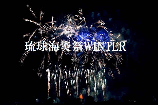 琉球海炎祭 2025 フリー観覧エリア入場券 2枚（こああいせぶん様用 
